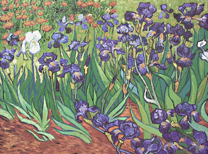Irisis Painting Van Gogh