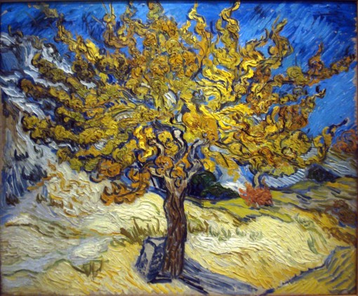 Mulberry Tree Van Gogh Painting 1
